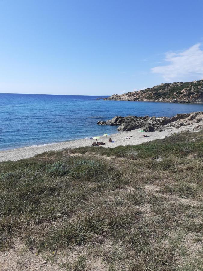 Agriturismo Gli Olivastri Appartamento Raggio Di Sole , Con Piscina E Vista Mare ,Climatizzatore,Wifi Aglientu Exterior foto