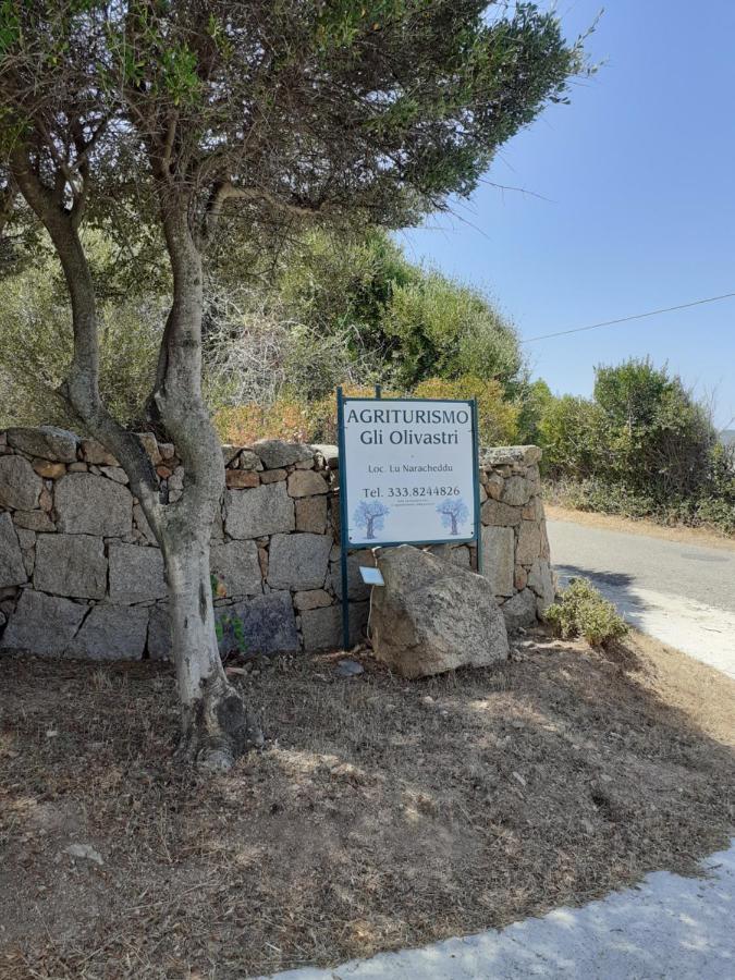 Agriturismo Gli Olivastri Appartamento Raggio Di Sole , Con Piscina E Vista Mare ,Climatizzatore,Wifi Aglientu Exterior foto